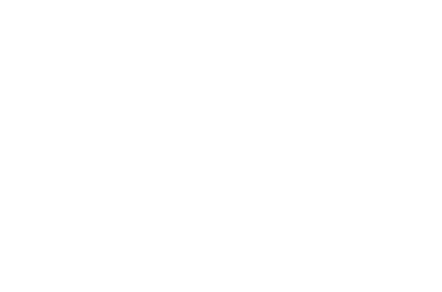 Air Vuisa Logo